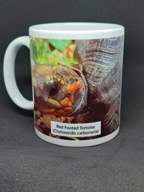 Redfoot 11oz mug