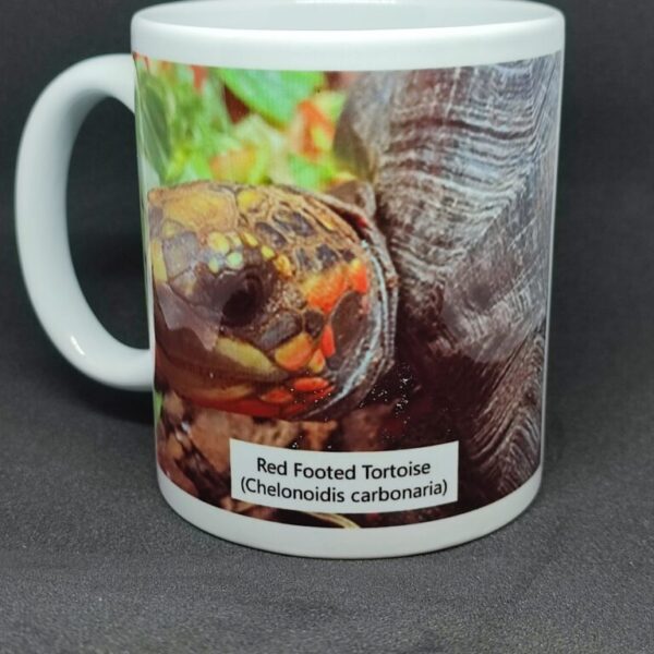 Redfoot 11oz Tortoise mug