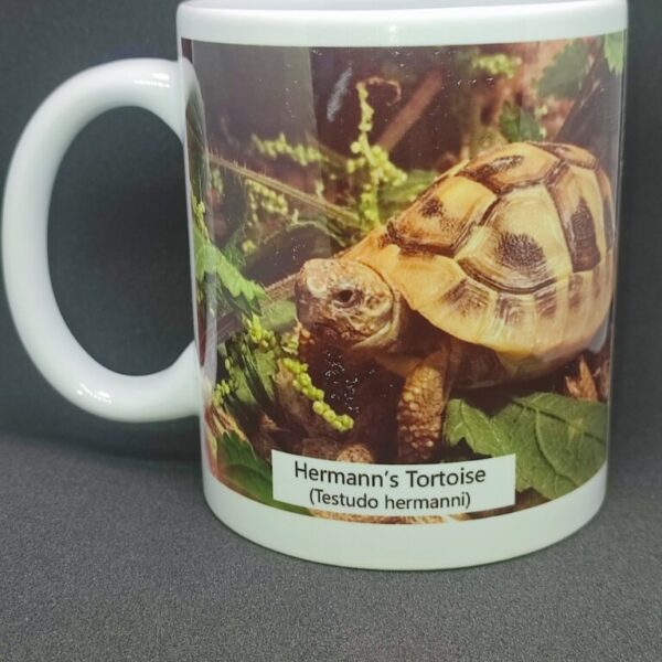 Tortoise Mug 11oz